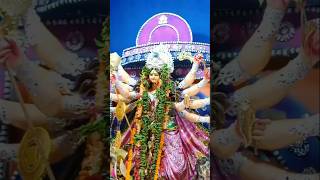 Durga puja2024🌺durgapuja kolkata 2024shortsviralshort [upl. by Patsy]