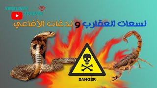 لسعات العقارب و لدغات الأفاعي piqûre de scorpion et morsure de serpent🐍🦂 [upl. by Nylatsirk796]