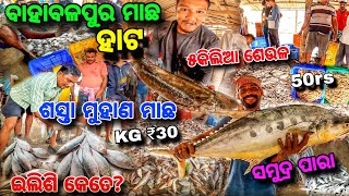 ଇଲିଶି ନିଲାମୀ 2000 ଟଙ୍କା 😱 Bahabalpur Fish Market ଶସ୍ତା ସମୁଦ୍ରମାଛ🐟 Rate  Baleswar Fish Market [upl. by Leeban]