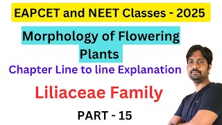 Liliaceae Family  Morphology of Flowering Plants  Part 15 [upl. by Prochora]