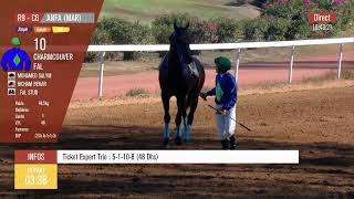 Live Hippodrome « CASABLANCA »  Courses du «13092024 » [upl. by Arimihc]