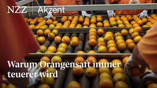 Warum Orangensaft immer teurer wird  NZZ Akzent [upl. by Munro]