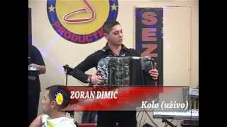 Zoran Dimic  Kolo harmonika  LIVE  Sezam iz Dijaspore  Tv Sezam 2014 [upl. by Eardnaed]