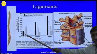 Dorsal and Lumbar Pedicles  Surgical Anatomy [upl. by Stefa]