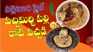 Roti pachadi పల్లెటూరి స్టైల్  Pachi mirchi Pachadi  Palli Pachadi [upl. by Annahgiel]