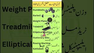 Gym Equipment Vocabulary in English with Urdu Meanings  Fitness Terms Explained [upl. by Aciraj907]