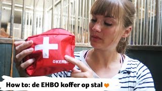 HOW TO wat zit er in je EHBO koffer op stal  48  Epplejeck [upl. by Nellahs]