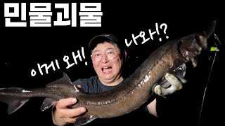 낚시 중 뜻밖에 잡은 철갑상어에 안에는 캐비아가 있을까 ㄷㄷ ㄷ [upl. by Sigmund]