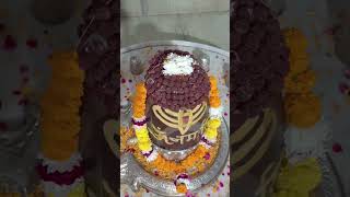 💖✨Har Sankat Tala Mera ✨💖 Mahadev Status 💕🌹 bholenath trending shorts ytshorts viralshorts [upl. by Teiv73]