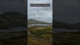 Kierujemy się na południe Wąwóz Mågålaupet i Norweska Preria campertrip norway travel [upl. by Atiuqehs]