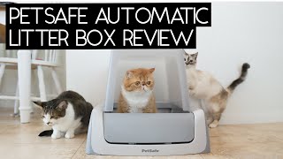 PETSAFE Scoopfree Self Cleaning Litter Box Review  Sven and Robbie [upl. by Anoerb102]