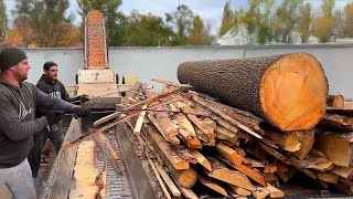 These Machines Turn Giant Trees Into Chips in Seconds – How Is It Possible [upl. by Robert]