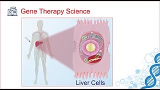 Gene Therapy for Treatment of Hemophilia An Introduction to AAV Vector Gene Transfer [upl. by Marie]