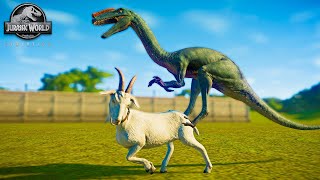 OP PROCERATOSAURUS HUNTING DOWN SMALL HERBIVORE AND CARNIVORE DINOSAURS IN JURASSIC WORLD EVOLUTION [upl. by Eatnom]