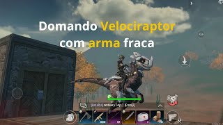 Survival and Rise Domando Velociraptor com Arma fraca [upl. by Hamitaf]