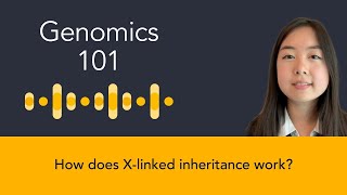 Nicole Chai How does Xlinked inheritance work [upl. by Ankeny]