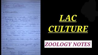 LAC CULTURE IN HINDI lacculture zoologynotes biology bsc2ndyearzoology university vbu skmu [upl. by Ivey972]