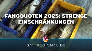 OstseeFangquoten 2025 Weiter strenge Einschränkungen für Dorsch und Hering [upl. by Zeph909]