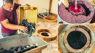 How to Make Wine in Qvevri  Red Wine Making Process [upl. by Kubiak]