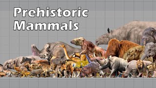 Size Comparison of Animals the Prehistoric Mammals [upl. by Leirud]