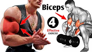 4 Best Long Head Biceps Exercises  Bicep Workout [upl. by Eilama]