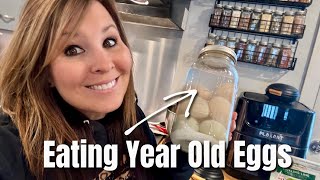 Eating YEAR Old Eggs  How to Preserve Eggs for 12 Months [upl. by Son]