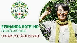 Fernanda Botelho  Vitex AgnusCastus [upl. by Yelyr]