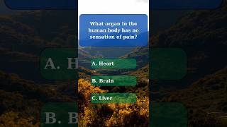 General knowledge quiz part 47 generalknowledge generalknowledgequiz challenge quiz nature [upl. by Ellennad]