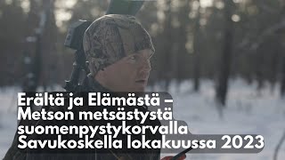 Metson metsästystä suomenpystykorvalla Savukoskella lokakuussa 2023 [upl. by Colwin]