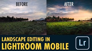 Landscape Editing in Lightroom Mobile  Android  iPhone [upl. by Gamal360]