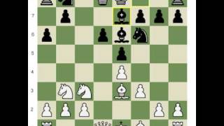 Shankland Teaches the Najdorf 6Be3 e5 [upl. by Eigriv]