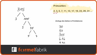 Primfaktorzerlegung – Erklärung – Übungsaufgaben – Teilbarkeitsregeln [upl. by Jeannine]