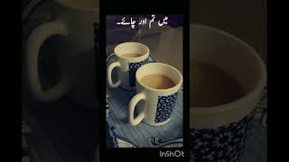 kitchen and vlogs of syeda Fozia 🌹 M Tum oor chaii☕☕☕ [upl. by Gambell]