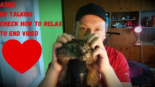 ASMR fox head massage no talking [upl. by Anaila181]