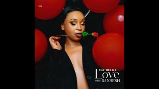 1 HOUR OF LOVE MIX WITH DJ NHESH [upl. by Carley143]