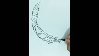 How To Draw FEATHER Step by Step [upl. by Nylanaj297]