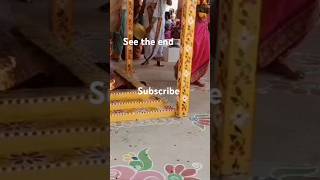 day8 siva Pooja  mruthrumjaya homam  subscribe  like [upl. by Eninahpets]