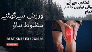 KNEE PAINQUADRICEPS STRENGTHENKNEE ISOMETRIC EXERCISE SakoonPhysiotherapykneepain knee [upl. by Lirba421]