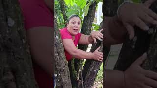 humor morirderisa comedia rietedelavida reirse plussize riete comedy risacontagiosa funny [upl. by Adgam]