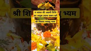 🔱🕉 9 नवंबर अष्टमी तिथि का अचूक उपाय जरूर करें ।shortsfeed ytshorts panditpradeepmishraupay [upl. by Karoline]