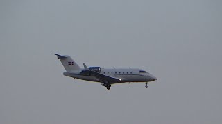 Bombardier Challenger 604 Royal Danish Air Force landing on EPRZ RzeszówJasionka [upl. by Amorita]