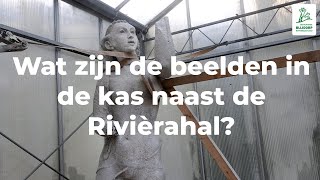 Wat zijn de beelden in de kas naast de Rivièrahal [upl. by Conlin]