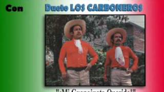 Dueto Los Carboneros  Mi Guanajuato querido Corrido [upl. by Lyred515]