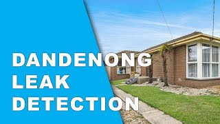 Water Leak Detection Services in Dandenong [upl. by Nawud]