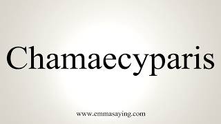 How To Pronounce Chamaecyparis [upl. by Alvira]