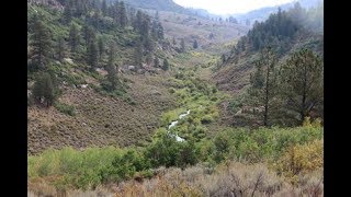 Gill Creek Trail [upl. by Kato511]