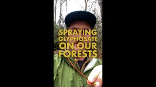 Spraying Glyphosate on our Forests  Stop the Spray [upl. by Nerual856]