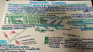 Fusarium in Hindiwilt disease [upl. by Moffitt]