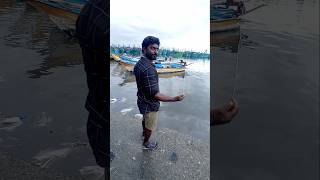 Unbelievable Big Fish Catch with 12 EMPTY Hooks fishing fishingvideos thoondilulagam seafishing [upl. by Ardnaed]