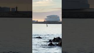 EFoil 4K Matosinhos Sunset matinhosbeach beach travel [upl. by Atsillac684]